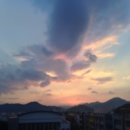 내사진