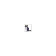 내사진