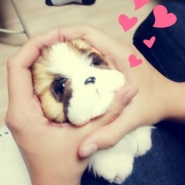 내사진
