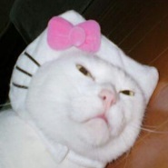 내사진