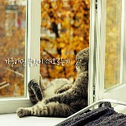 내사진