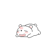 내사진