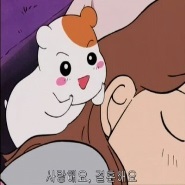 내사진