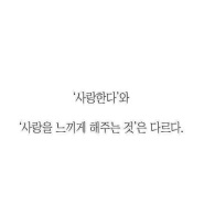 내사진