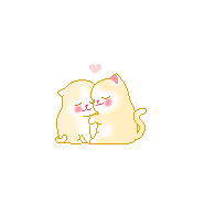 내사진