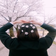 내사진