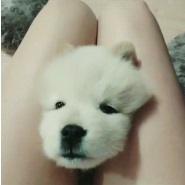 내사진