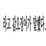 내사진