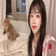 내사진