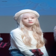내사진