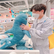 내사진