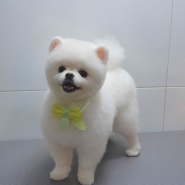 내사진