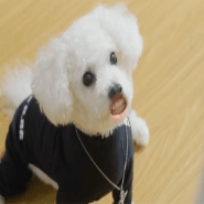 내사진