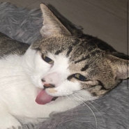 내사진