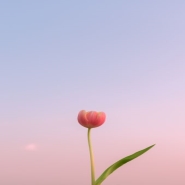 내사진