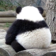 내사진