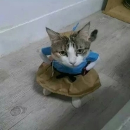 내사진