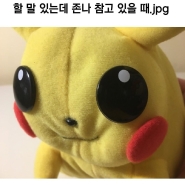 내사진