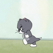 내사진