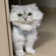 내사진