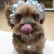 내사진