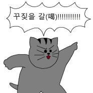 내사진