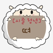 내사진