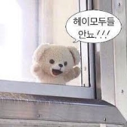 내사진
