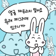 내사진