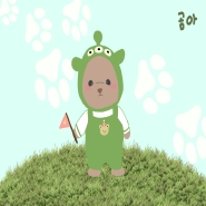 내사진
