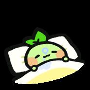 내사진