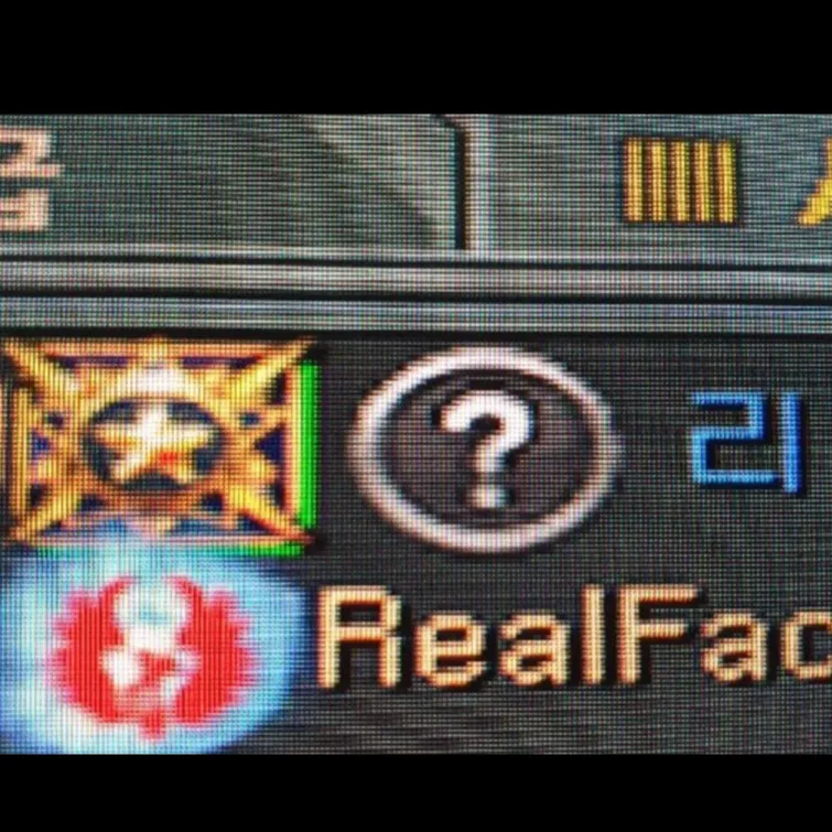 내사진