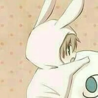 내사진