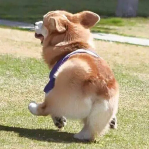 내사진