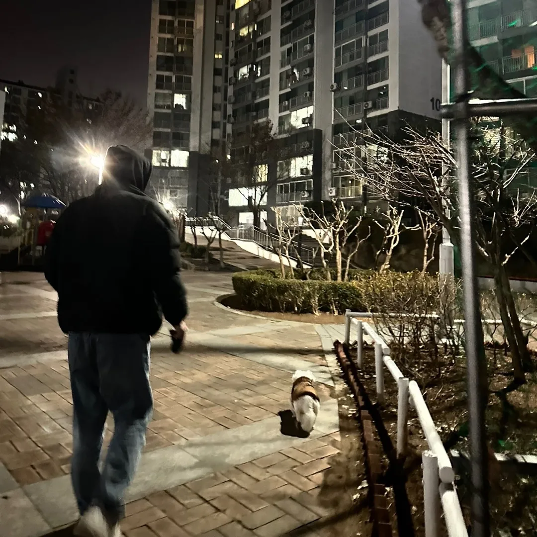 내사진
