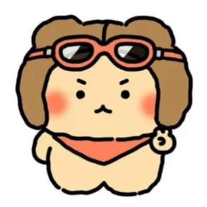 내사진