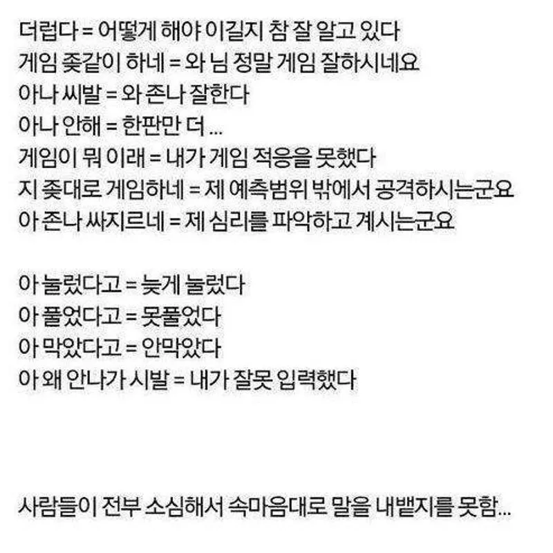 내사진
