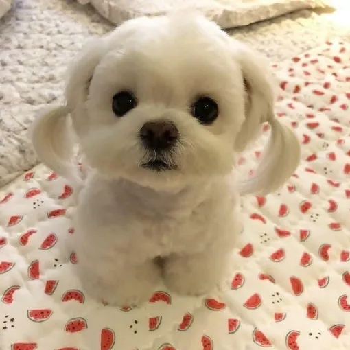 내사진
