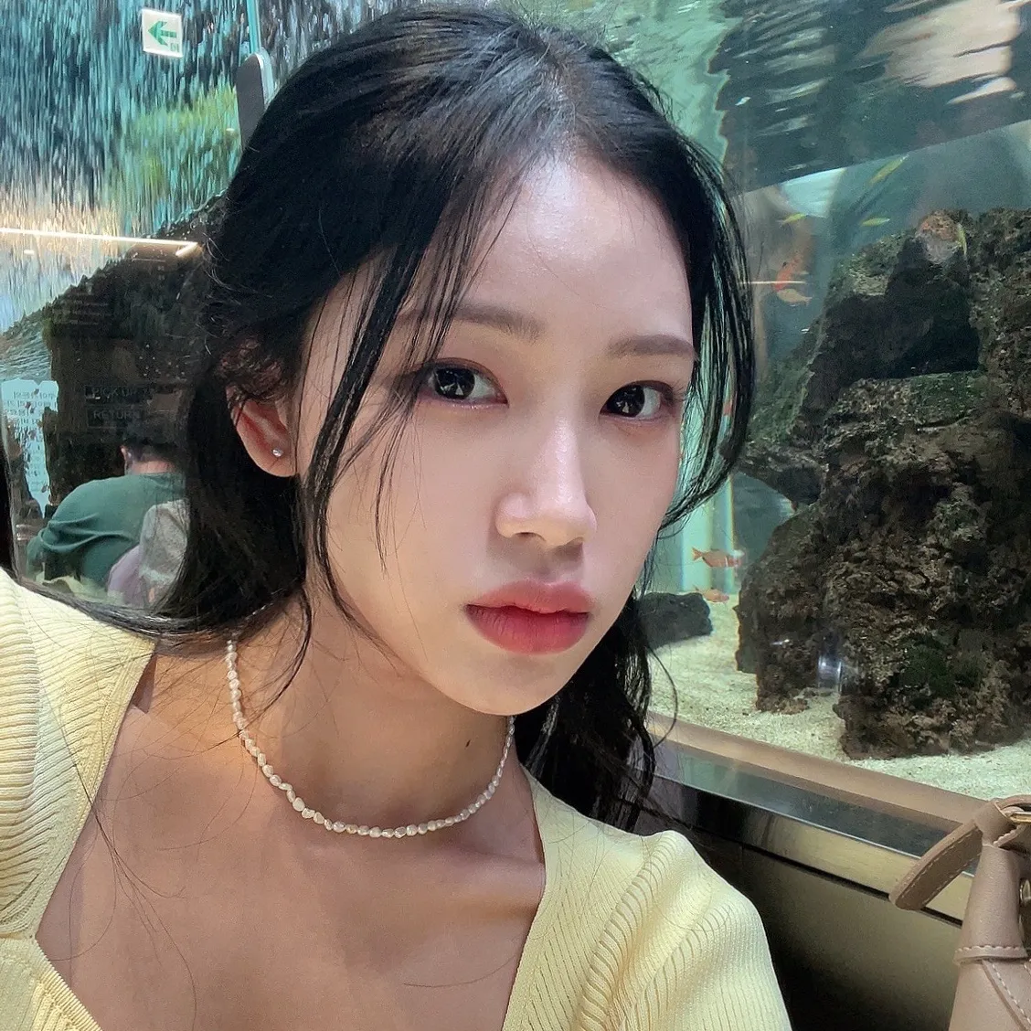 내사진