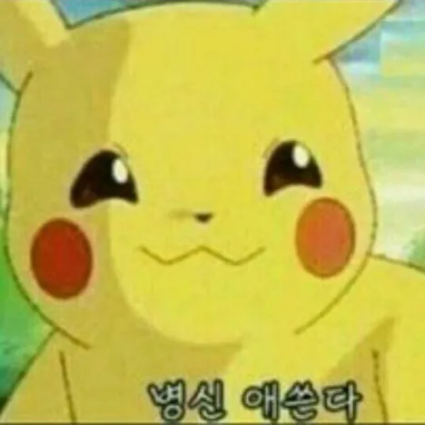 내사진