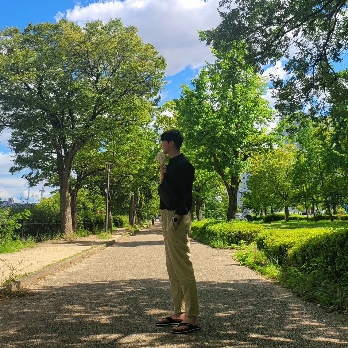 내사진
