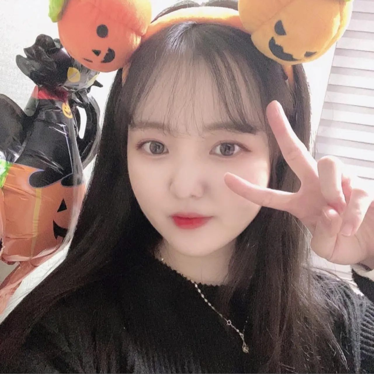 내사진