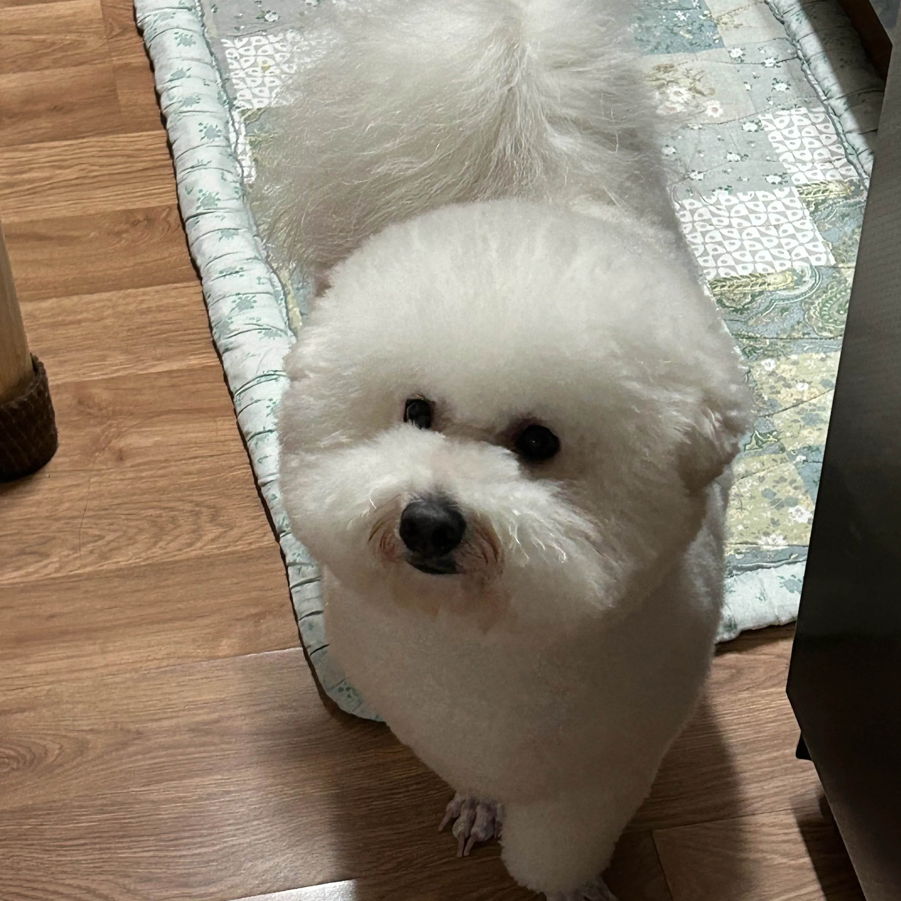 내사진