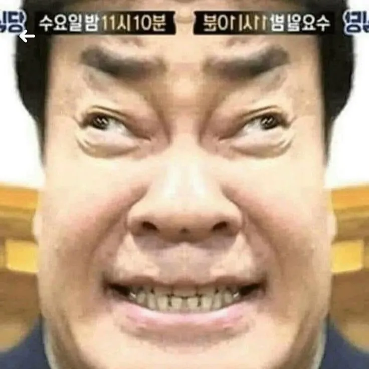 내사진