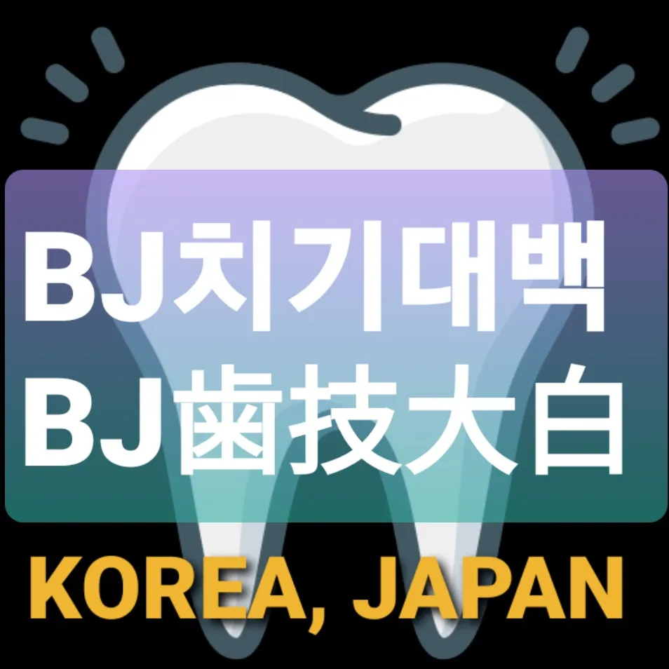 내사진