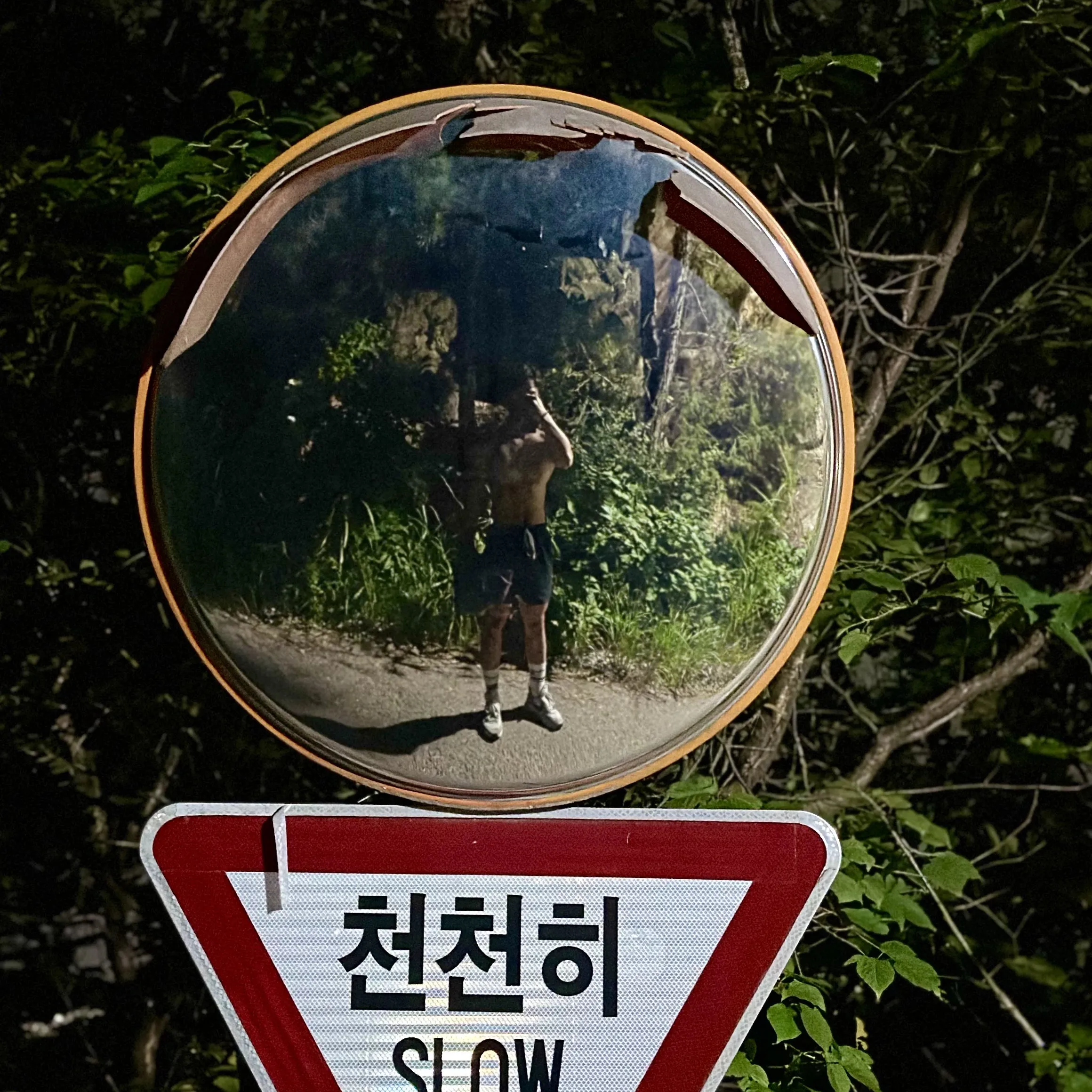 내사진