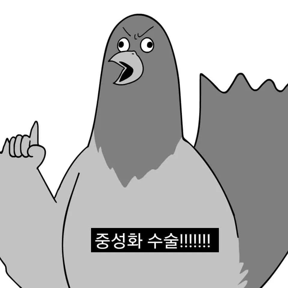 내사진