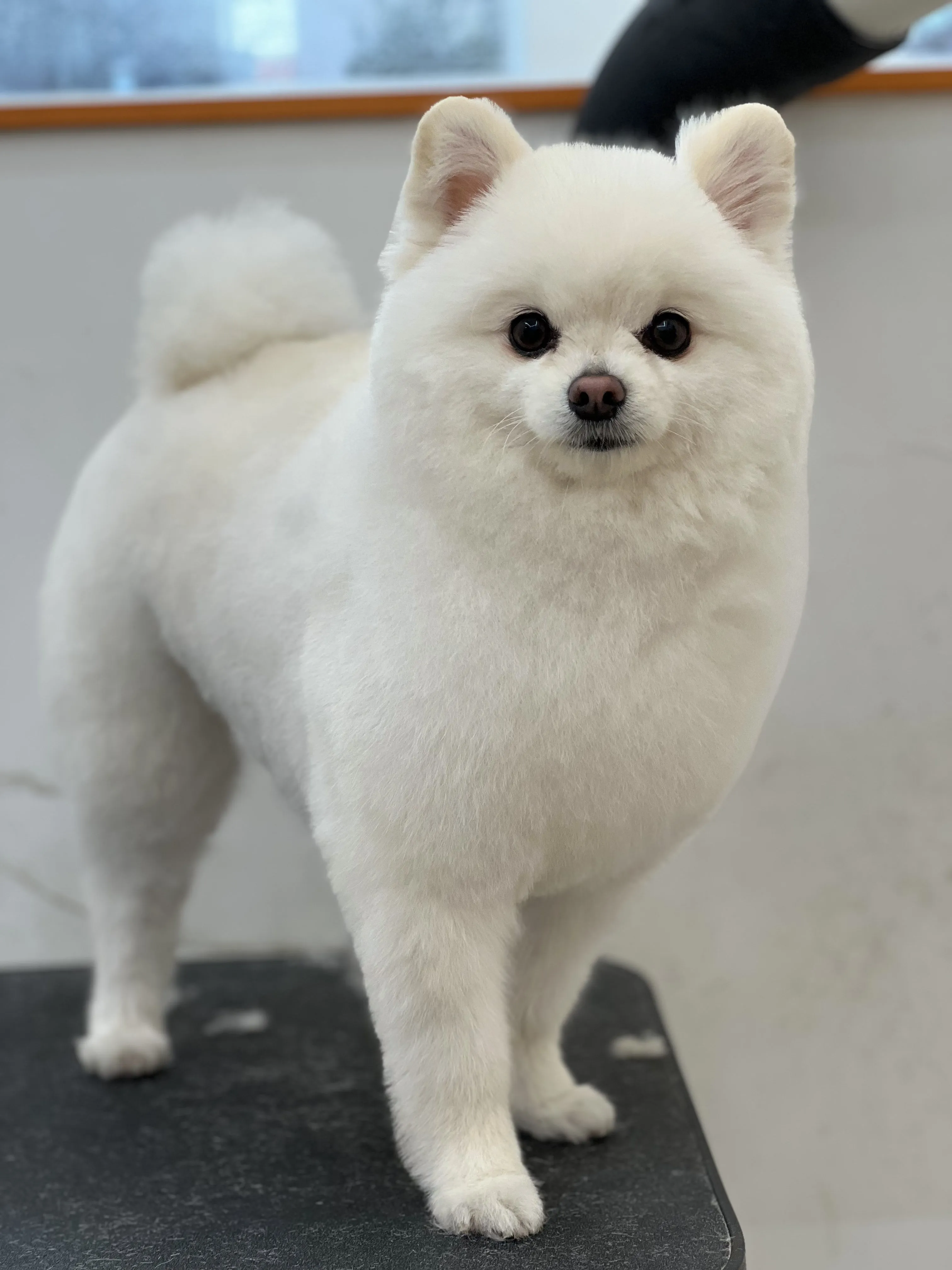 내사진