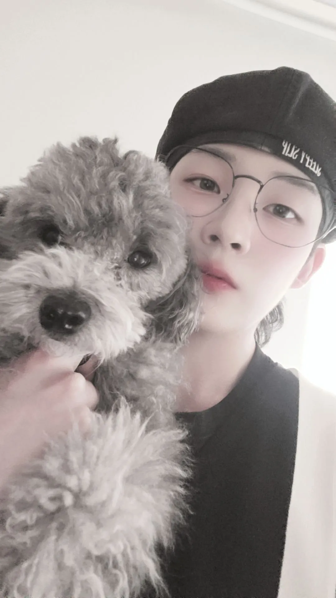 내사진