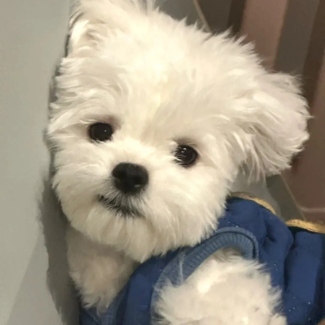 내사진